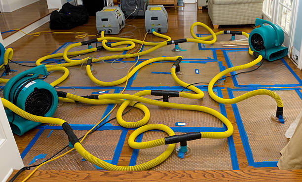 Professional Water Damage Restoration technician working in Paint Rock, AL